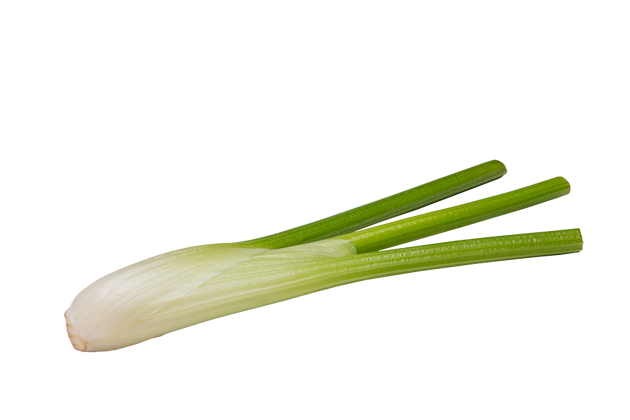 Show products in category Baby Fennel Picture for category Baby Fennel