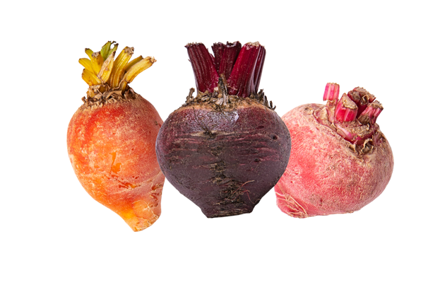 Show products in category Baby Beetroot Picture for category Baby Beetroot