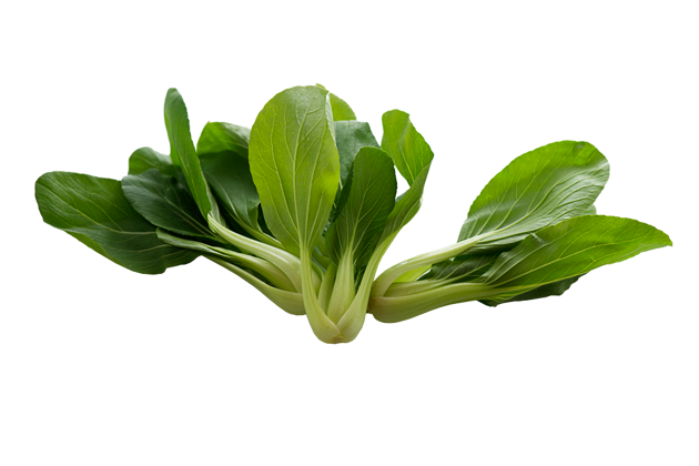 Show products in category Pak Choi Picture for category Pak Choi